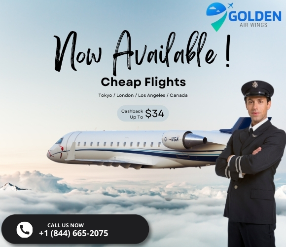 Golden Air Wings: Top 2 Cheap Airline Flight Websites in US & Canada