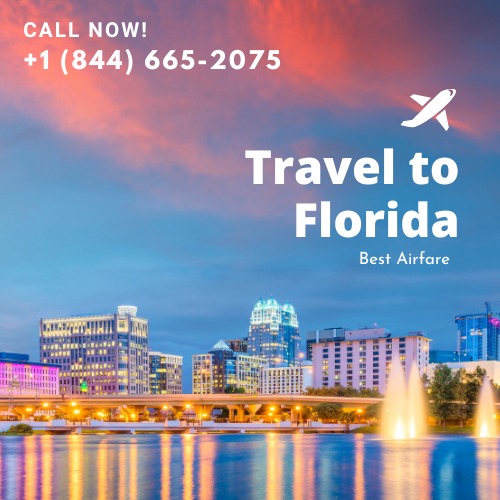  Affordable Airline Tickets from Florida to California 